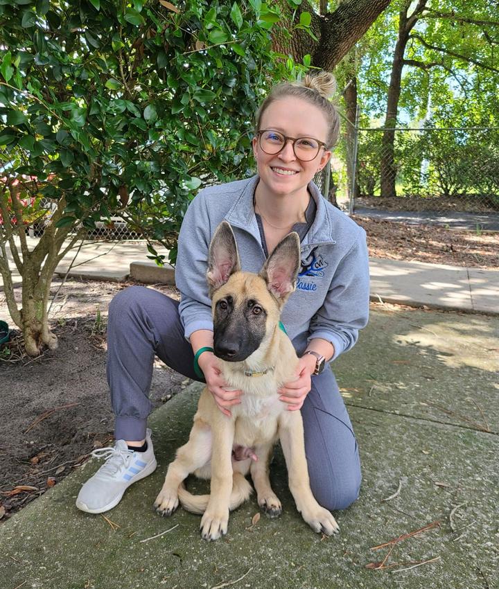 Veterinarians in Gainesville Gainesville FL Veterinarians